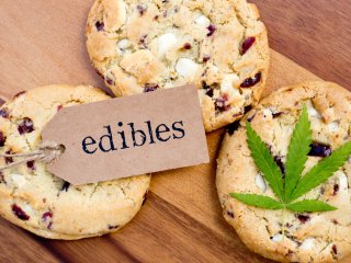 The Cannabis Kitchen